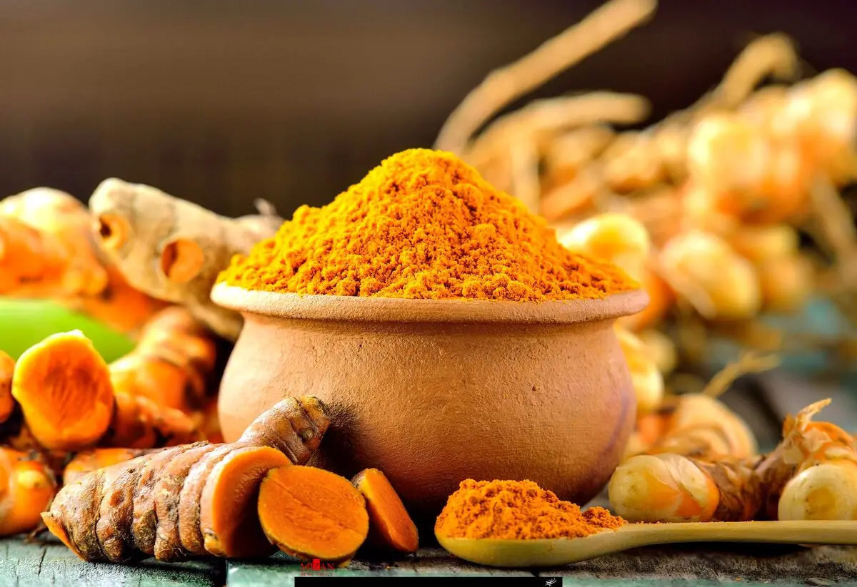 خواص زردچوبه را بدانید /جوش ها را با زردچوبه درمان کنید +جزئیات