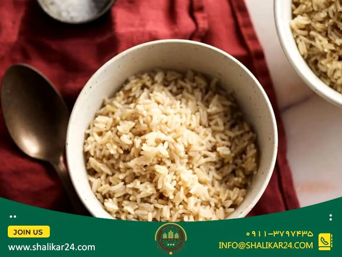 آشنایی با برنج باسماتی و فواید مصرف آن+ روش پخت