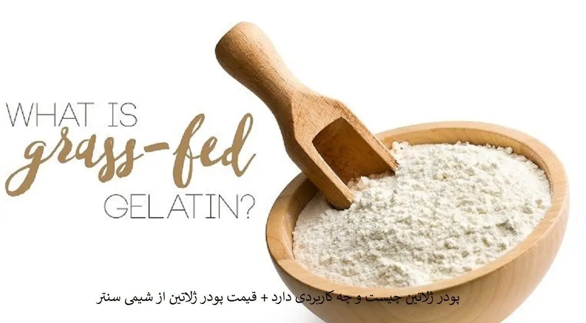 پودر ژلاتین چیست و چه کاربردی دارد + قیمت پودر ژلاتین از شیمی سنتر