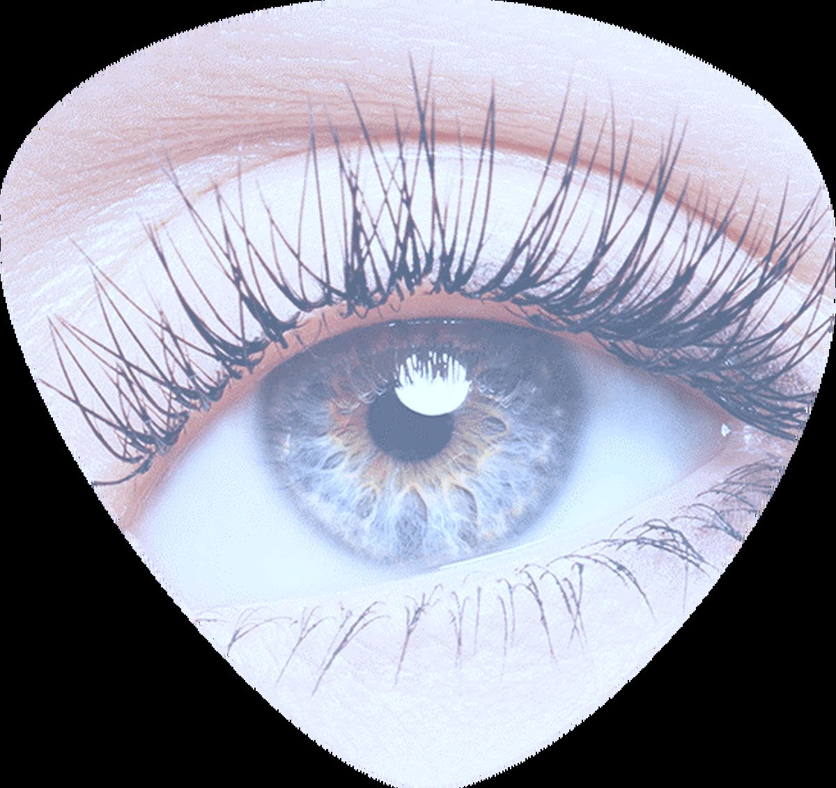 بن مژه چیست؟ با زیباباش همراه باشید