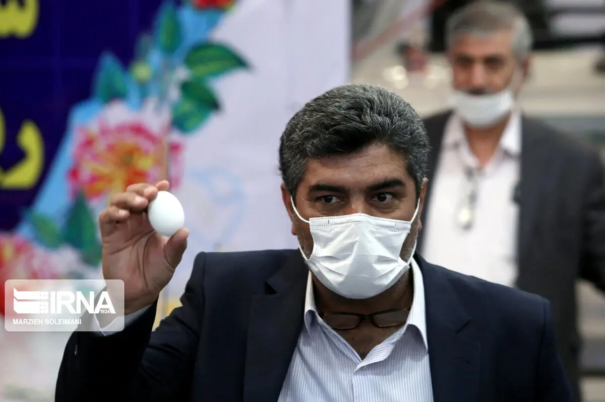 نامزد انتخابات 1400 با تخم مرغ وارد شد