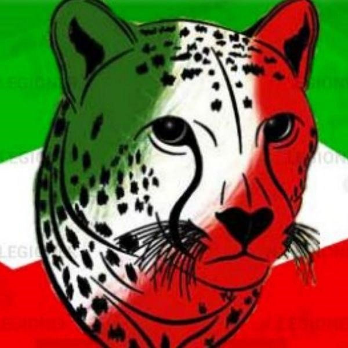 رسانه ایران لژیونر از کجا به وجود آمد؟

