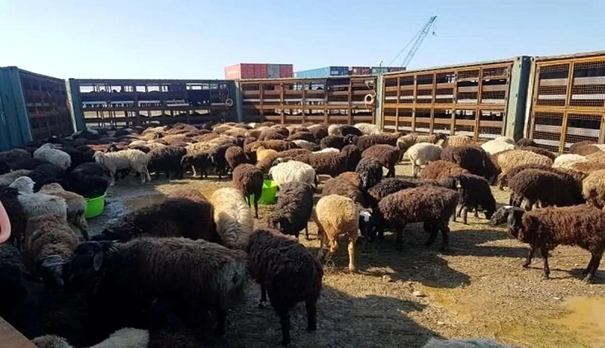 خطر طاعون جدی شد | سفر به ارتفاعات کرج ممنوع شد