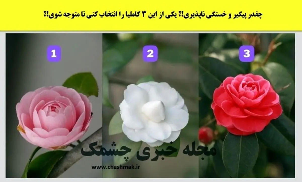 تست شخصیت شناسی | میزان علاقه ت به پارتنرت رو بسنج ببین چقدر دوست داره!