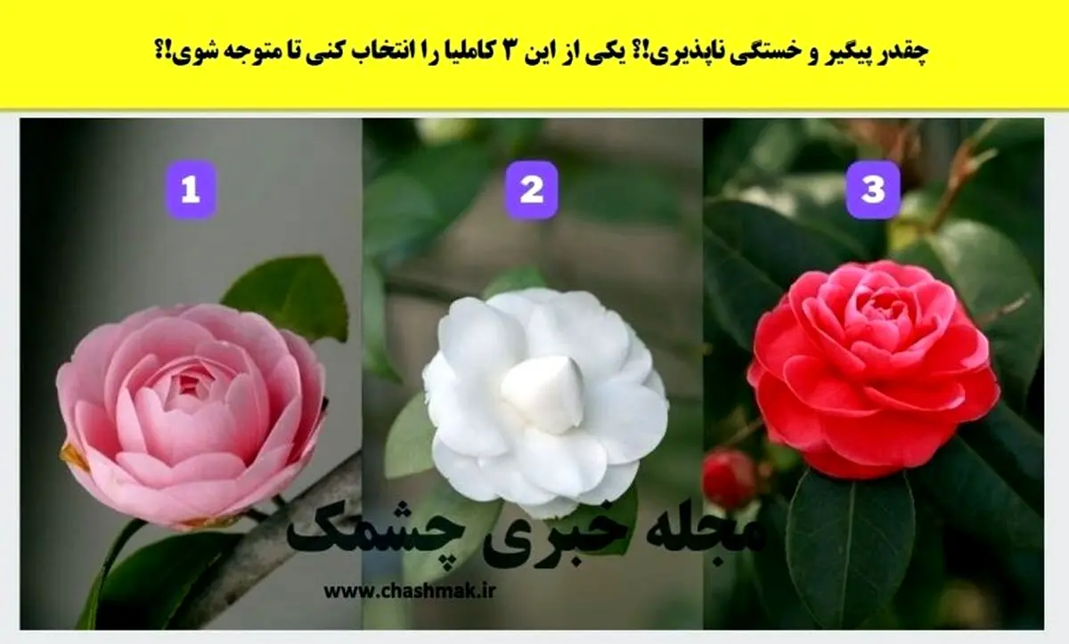 تست شخصیت شناسی | میزان علاقه ت به پارتنرت رو بسنج ببین چقدر دوست داره!