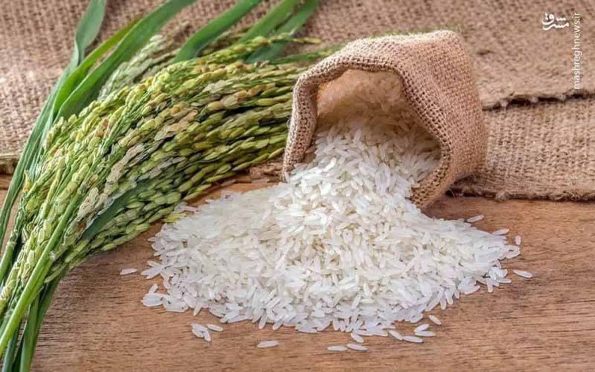 قیمت برنج ایرانی و خارجی امروز چقدر شد؟
