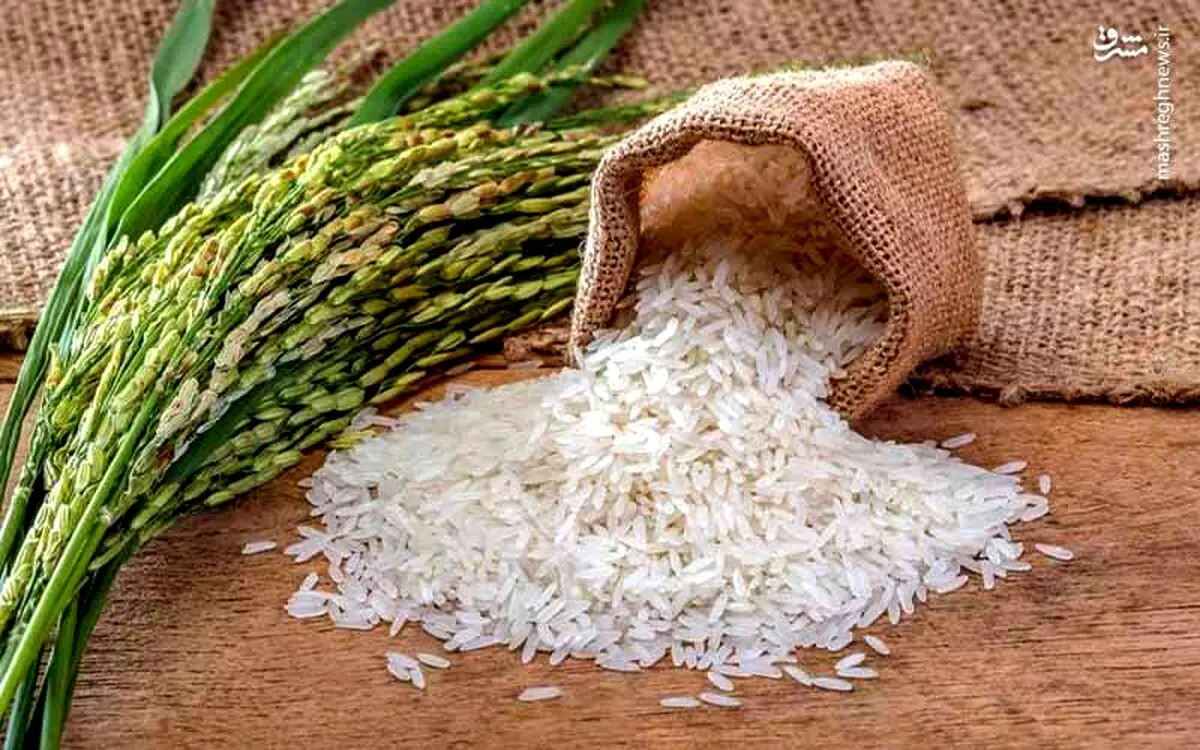 قیمت برنج نجومی شد | برنج ایرانی نایاب شده!