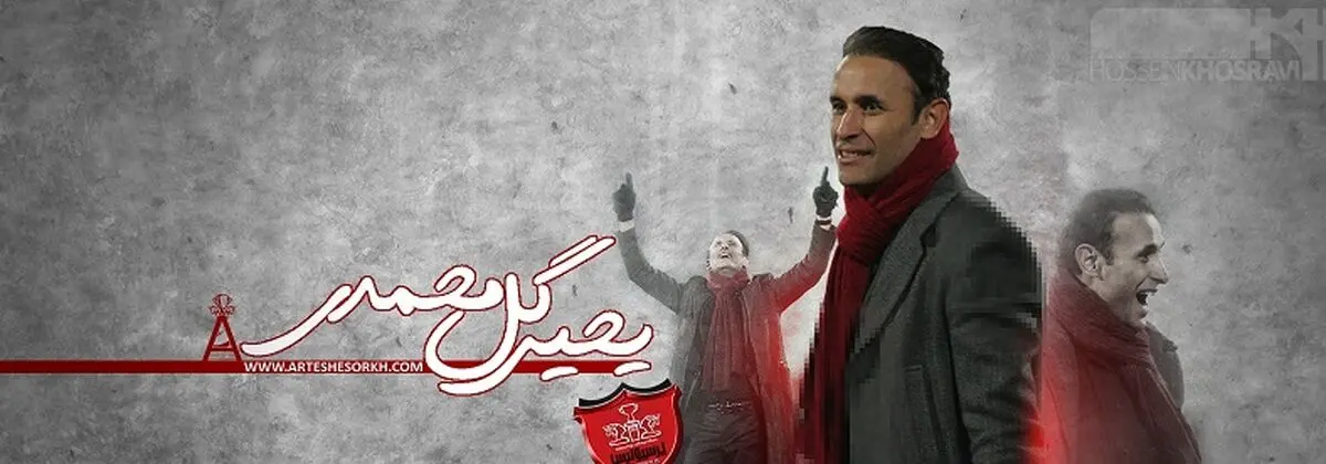 یحیی گل محمدی دست از رقابت کشید